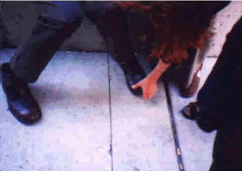 Robert's shoes