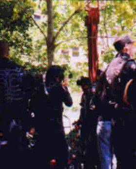 A view of some volunteers.
