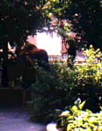 Jayne and Robert in the park.